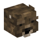 101534-grizzly-bear