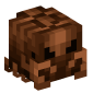 122270-shriveled-wasp