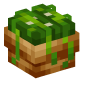 117333-seaweed