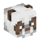 49669-brown-panda