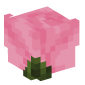 71300-pink-rose