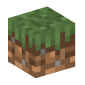 101556-grass-block-birch-forest