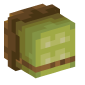 16100-turtle-shell