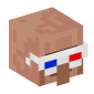 24827-villager-with-3d-glasses