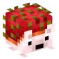 121811-rambutan-hedgehog