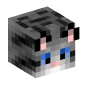 49488-cat