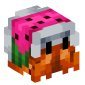 127544-hermit-crab-melon