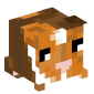 120141-guinea-pig
