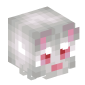 117916-albino-cat