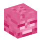 48557-pink-wither