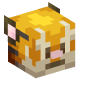 113144-tiger