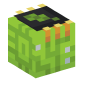 125270-evergreen-chip