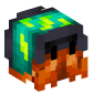 127537-hermit-crab-citrus