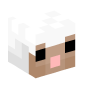 128392-baby-white-sheep