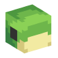 127491-baby-turtle