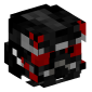 13495-iden-versio