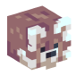 102821-red-panda