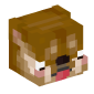 113124-doge