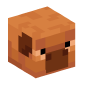 127474-baby-pig-warm