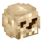125798-hominid-skull
