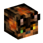 112243-tortoiseshell-cat