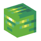 120491-green-gel