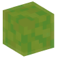 45602-slime-block
