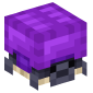 122468-shulker-turtle-purple