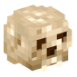 125797-hominid-skull