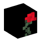124976-rose