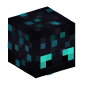 121805-void-endermite