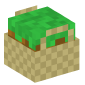 122533-basket-with-grass
