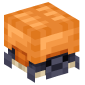 122461-shulker-turtle-orange