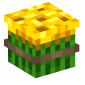 124389-compacted-sunflower