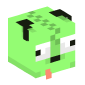 101503-gir
