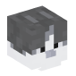 113914-cat-grayed