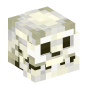 118719-skull