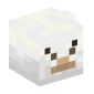 127467-baby-llama-white