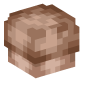 126797-brown-mushroom