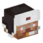 100417-steve