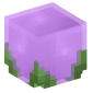 33440-blossom-purple
