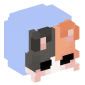 69727-hooded-cat