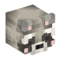 118975-raccoon