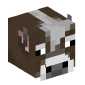 114345-cow-temperate