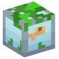 113395-mossy-fish-tank
