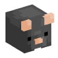 107763-rat