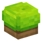 125820-bush