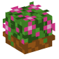 122511-flowerpot