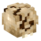 125793-cracked-hominid-skull