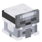 113854-villager-grayed-snowy-armorer
